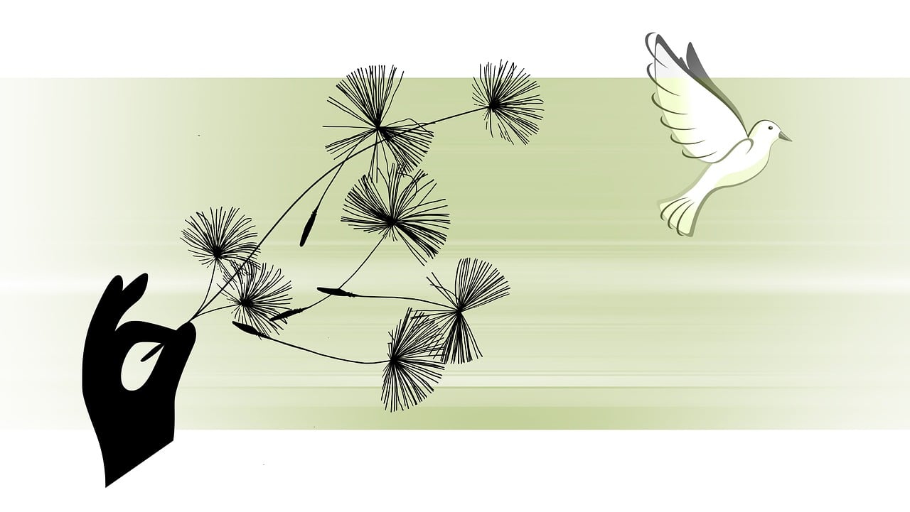 https://belfort.epudf.org/wp-content/uploads/sites/135/2025/08/dandelion-9453219_1280.jpg