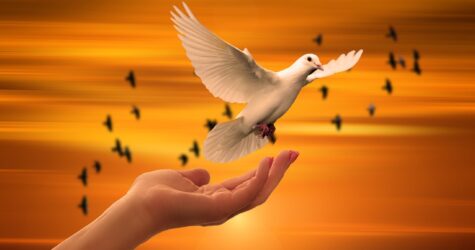 🙏 Espérance et prière