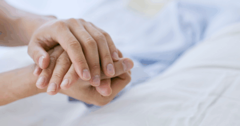 📅 Réunion de l&rsquo;équipe de visite