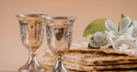 Pessah avec la communauté juive